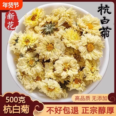 菊花茶杭白菊500g花桐乡特级正宗杭菊杭州贡菊胎菊正品官方旗