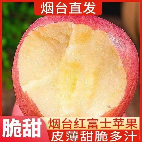 烟台红富士苹果口感酥脆多汁