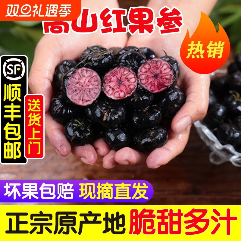 云南新鲜红果参蜘蛛果红参果美容黑果参算盘果特大果现摘顺丰包邮