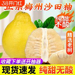 【纯甜】正宗梅州沙田柚子广东金柚白心肉孕妇当季新鲜水果非容县