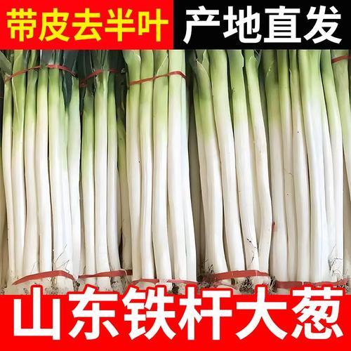 正宗山东铁杆大葱带皮去半叶发货长葱农家自种产地直发新鲜现拔