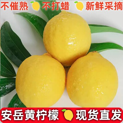 安岳黄柠檬水果当季新鲜新果整箱批发9斤鲜果子直发四川农场皮薄