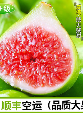 正宗威海青皮无花果新鲜大果包邮