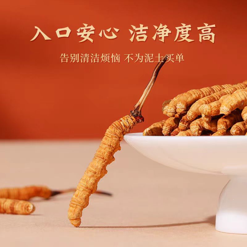 滋补冬虫夏草滋补干货