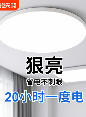 2024年新款led吸顶灯卧室灯客厅灯现代简约中山灯具圆形厨房阳台