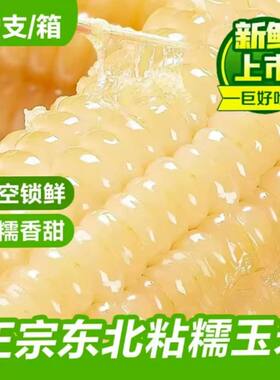 东北玉米糯玉米新鲜白糯玉米真空包装软加热即食甜糯米玉米棒香甜