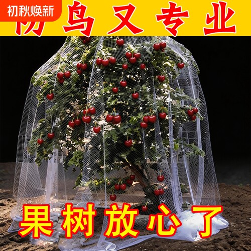 新款果园防鸟网罩蓝莓樱桃防护
