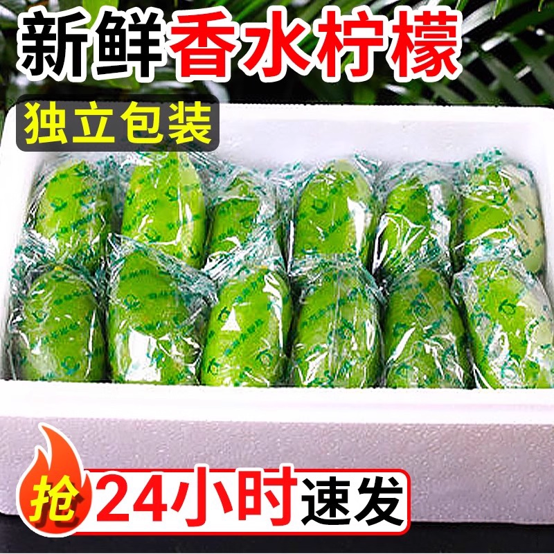 无籽青柠檬5斤新鲜水果现摘一级小青柠金桔香水子弹头奶茶绿柠檬