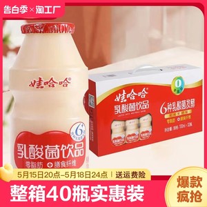 娃哈哈乳酸菌饮品整箱100ml