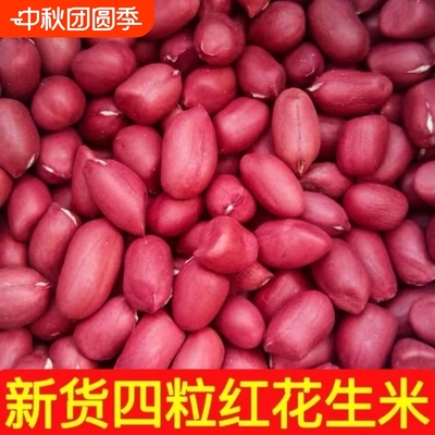 红皮花生米农家自产四粒红花生红衣花生仁东北特产袋装500g批发价