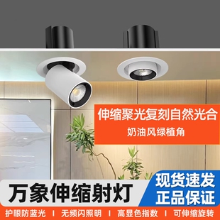 大功率嵌入式新款植物生长灯室内景观绿植补光灯客厅家用伸缩射灯