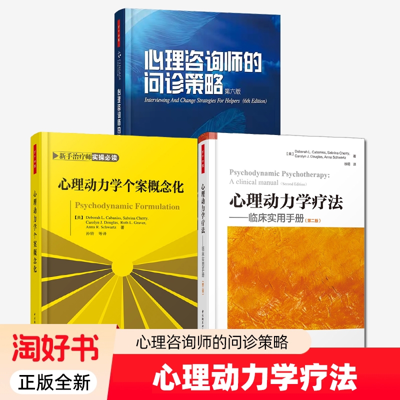 3册】心理动力学个案概念化+心理动力学疗法+心理咨询师的问诊策略 心理动力学疗法详解 心理动力学疗法的核心技术 心理指南书籍