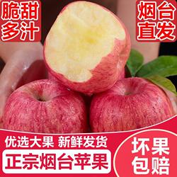 烟台苹果红富士孕妇水果当季新鲜脆甜整箱特大果精品包邮精选