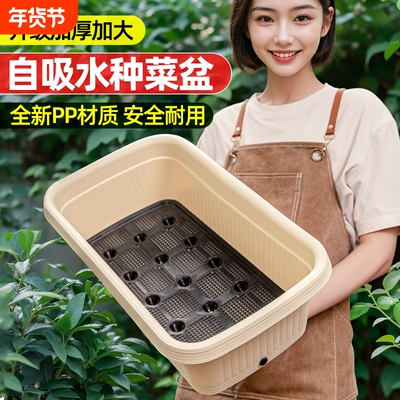 阳台种菜盆储水盆塑料懒人专用箱自动吸水种植箱自吸水特大号水生