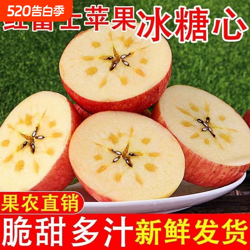正品直发正宗山西红富士苹果万荣红富士应季现摘现发新鲜水果糖心