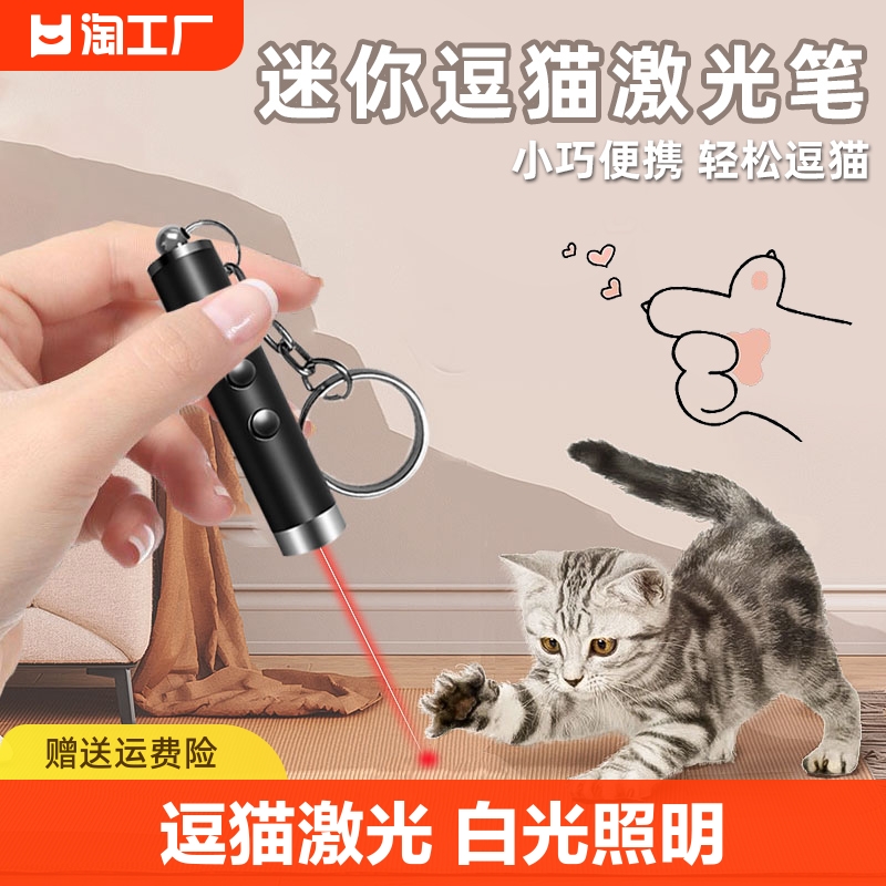 二合一逗猫激光笔小手电