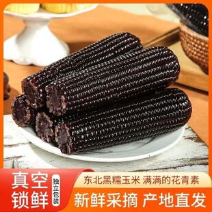 头茬大棒10支新黑糯玉米新鲜现摘真空装包甜糯黏黑玉米代餐