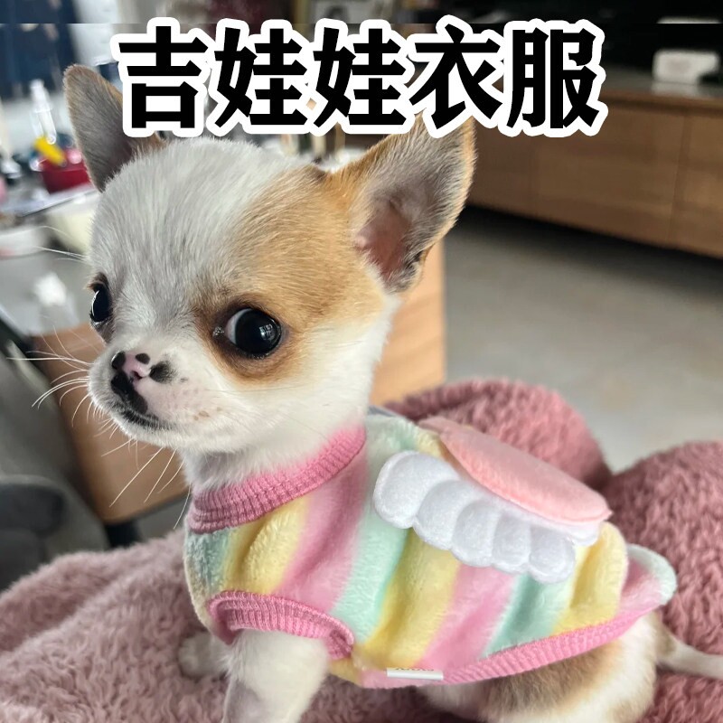 吉娃娃衣服超小体狗狗秋冬天加厚保暖防脏小型犬幼犬服饰宠物用品