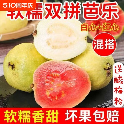 福建软糯软心芭乐5斤水果漳州当季奶油番石榴应季新鲜巴乐果双拼