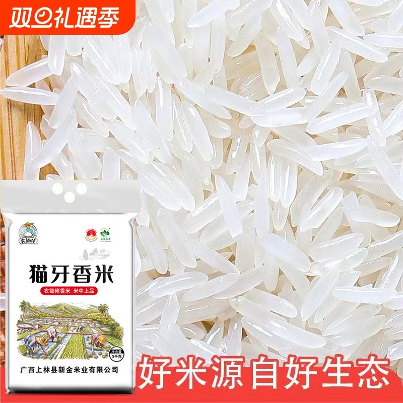大米米丝苗正宗广西长寿乡一级猫牙农家香米长粒新米10斤优质便宜