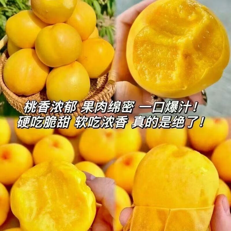 蒙阴黄桃正宗黄桃新鲜现摘超甜水密桃黄油桃毛桃血桃生鲜水果