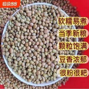贵州遵义特产高原米豆新豆米小红豆酸菜豆米农家肥自种农产品豆子