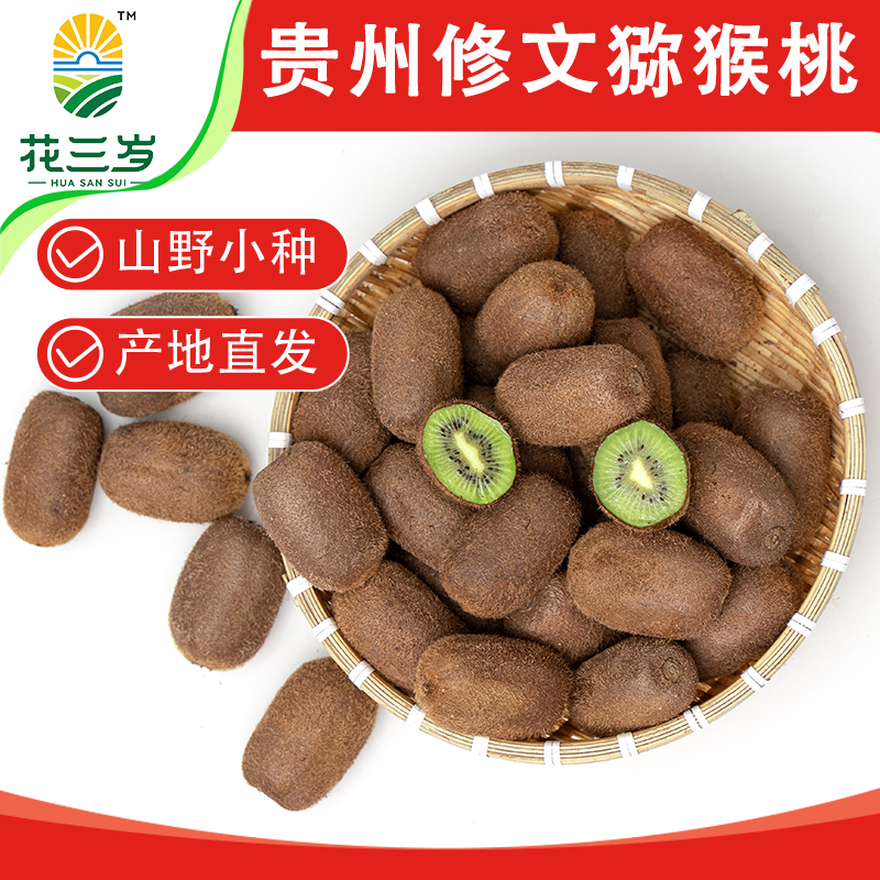 贵州黔西市贵长猕猴桃12枚装单果70-90g