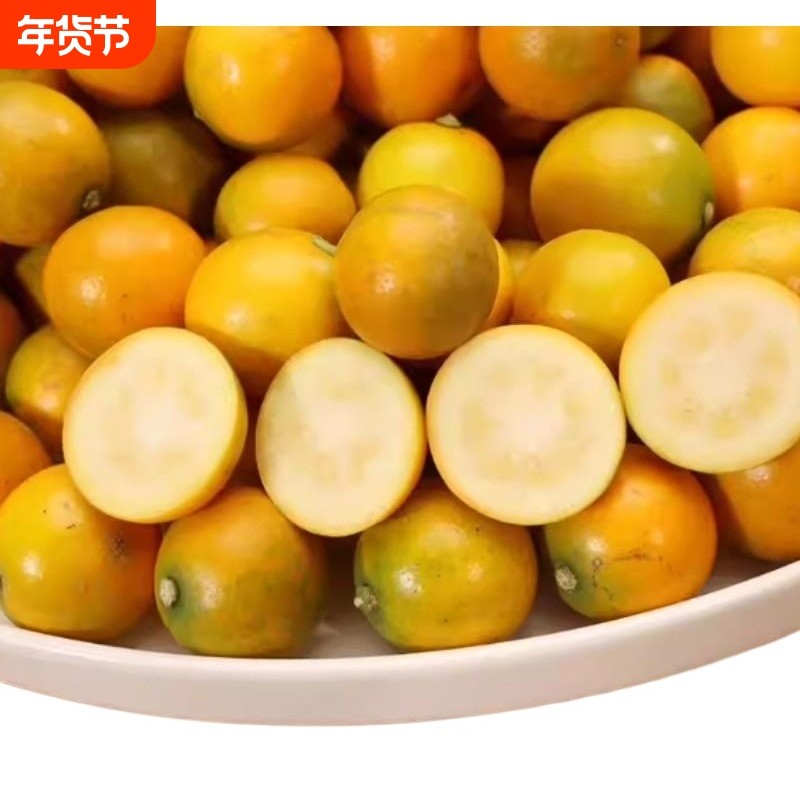 【蜜甜豆桔】广西豆桔 当季新鲜时令糖豆水果金桔整箱包邮