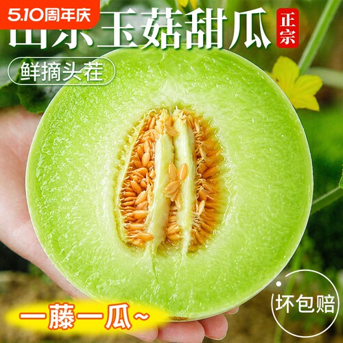 【9斤玉菇甜瓜】软糯香甜