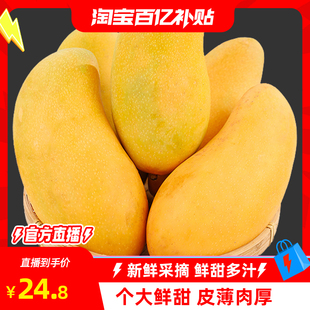 正宗海南金煌芒纸核芒果树上熟10金皇芒金黄芒新鲜水仙芒鲜甜多汁