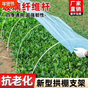 玻璃纤维拱棚支架菜园小拱棚杆蔬菜大棚骨架家用菜棚拱杆农用实心