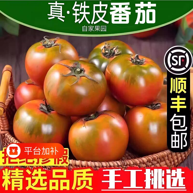 铁皮柿子西红柿丹东自然成熟草莓水果酸甜自家种生吃现摘番茄