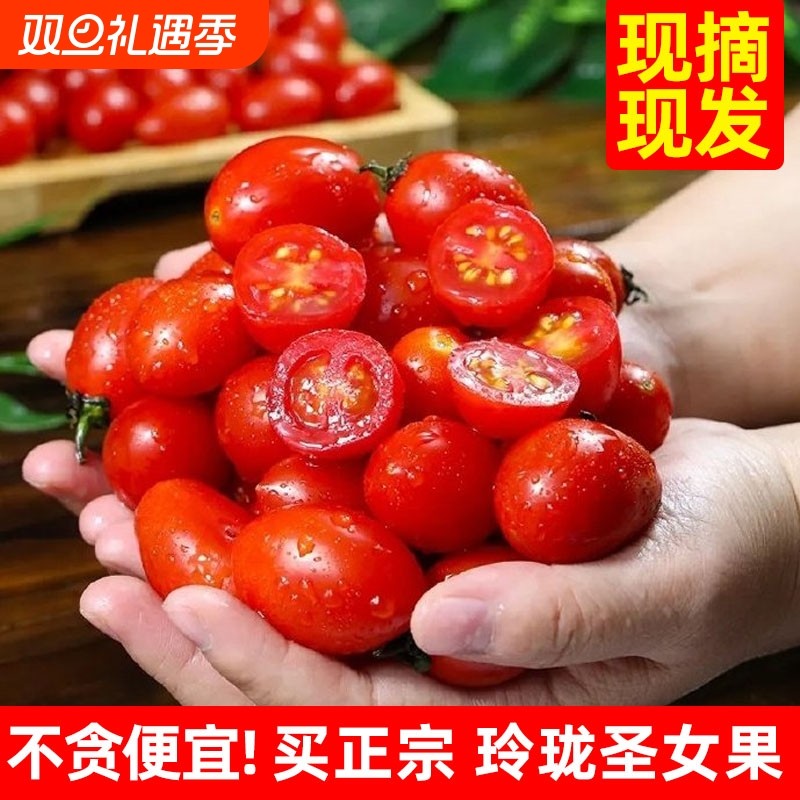 云南现摘农家玲珑圣女果3斤小番茄新鲜水果蔬菜当季时令小西红柿5