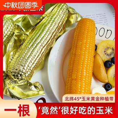 王老宝真空金箔黑龙江黄糯玉米