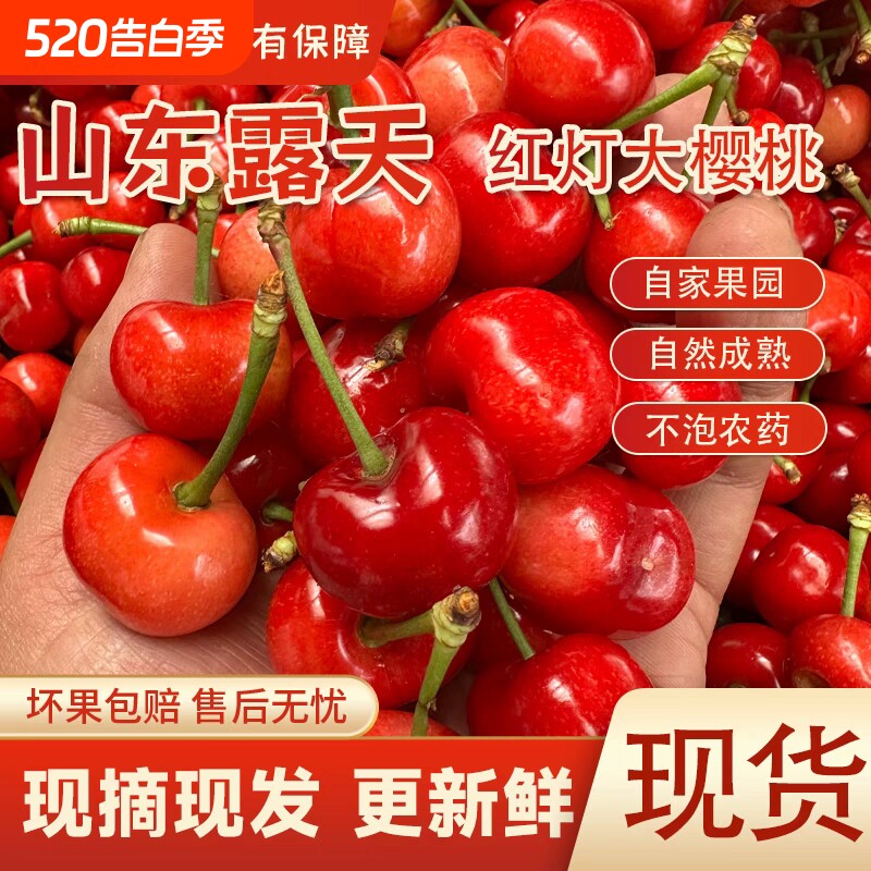 正宗山东烟台.大樱桃中果2J  2斤整箱
