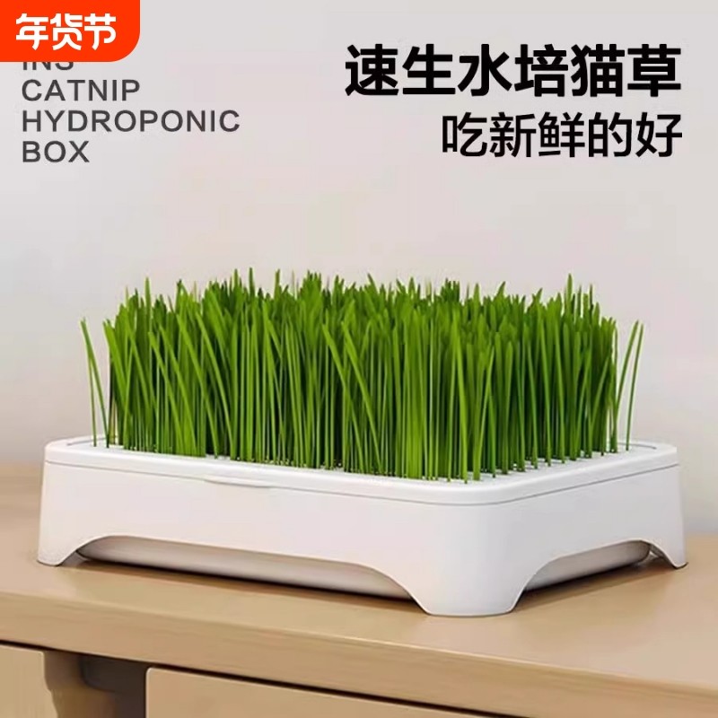 无土水培猫草盆栽去化毛球懒人种植猫草种子育苗盘化毛草宠物用品,宠物/宠物食品及用品,猫草/猫草片,淘宝优惠券,粉丝福利购,淘宝优惠卷