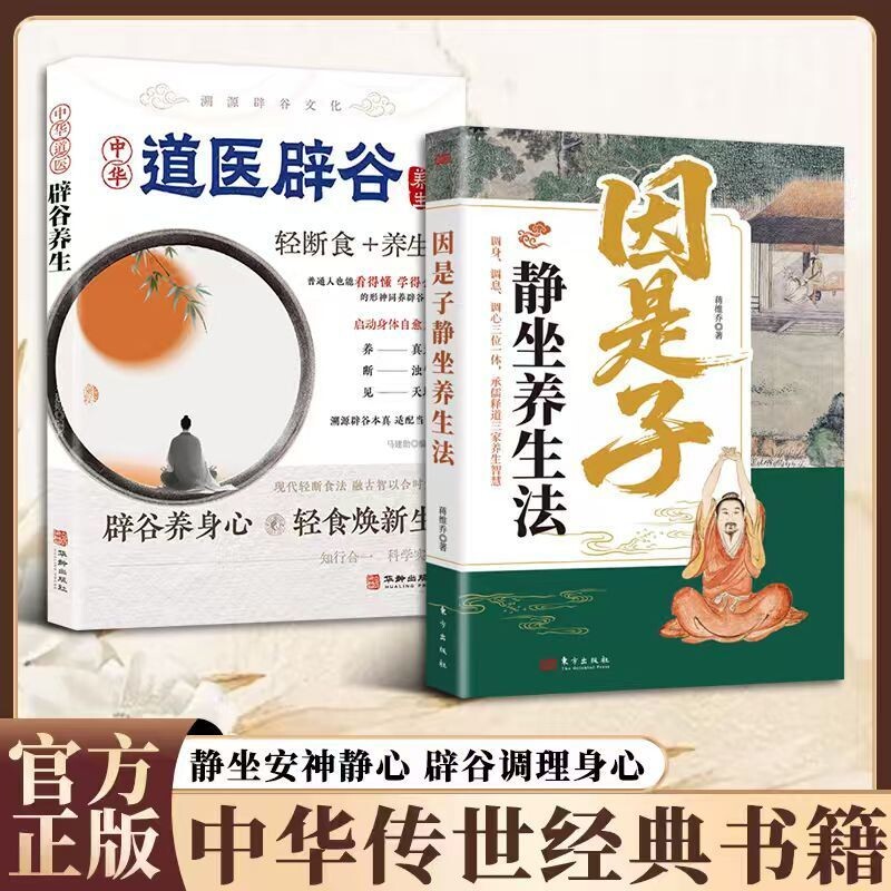 因是子静坐养生法 武当中医太极养生功法 中医养生书籍 古法静坐疗
