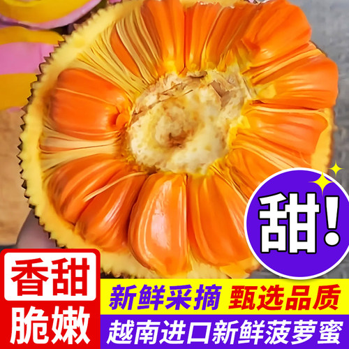 印尼红肉菠萝蜜现剥菠萝蜜果切脆甜鲜切即食菠萝蜜顺丰包邮