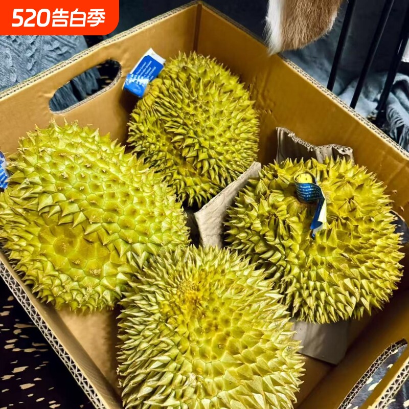 顺丰泰国金枕榴莲鲜果一整个自然生长包邮果肉配送新鲜直供上门