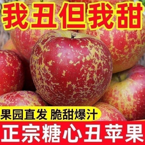 大凉山高原丑苹果冰糖心野生红富士当季新鲜孕妇水果整箱现摘中秋
