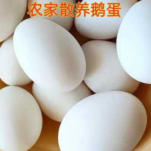 农家散养土鹅蛋新鲜生态鹅蛋现捡现发孕妇宝宝大鹅蛋营养健康