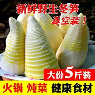 正宗江西冬笋新鲜笋尖5斤整箱装多规格时令蔬菜火锅商用批发竹笋