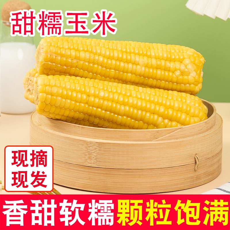 黄糯玉米东北减脂代餐主食早餐