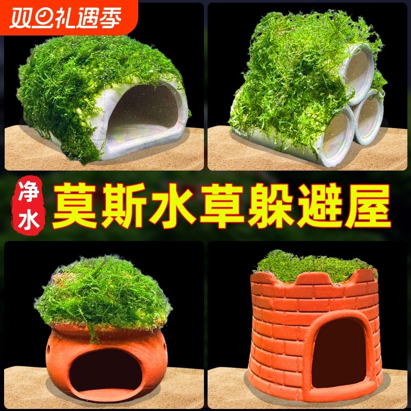 水屿鱼鱼缸水草造景莫斯水草懒人真植物躲避罐虾屋摆件小鱼躲避屋