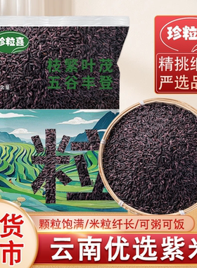 云南优质墨江紫米当季新米正宗老品种非血糯米黑米可煮粥饭团杂粮