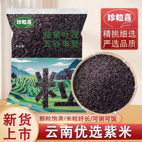云南优质墨江紫米当季新米正宗老品种非血糯米黑米可煮粥饭团杂粮