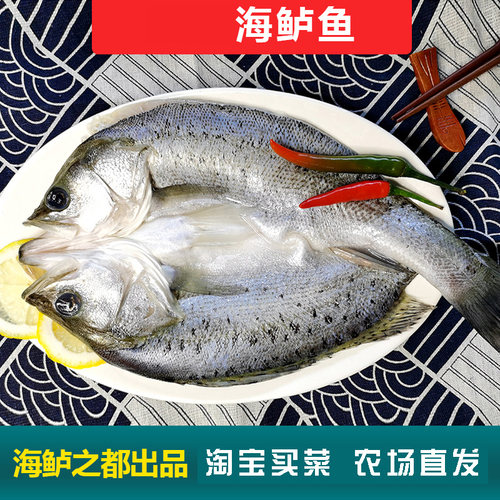 海鲈鱼新鲜海鲜水产生鲜冷冻真空袋清蒸鲈鱼芦鱼卢鱼烤鱼商用海鱼