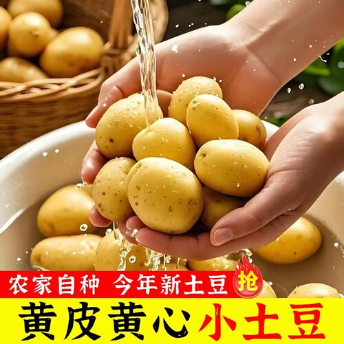 恩施小土豆新鲜马铃薯