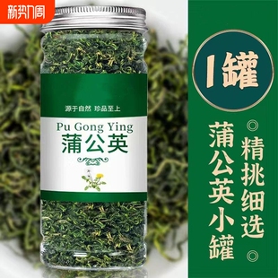 蒲公英茶正品特中药材新鲜散茶干草级生浦公英叶根茶野食用长白山