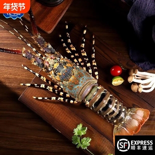 探味岛顺丰包邮福建新鲜大花龙鲜活大青龙澳洲大龙虾冷冻海鲜水产